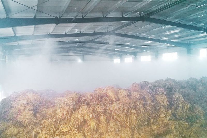 提升煙葉加工質(zhì)量，高效回潮很重要