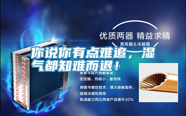 你說你有點(diǎn)難追，濕氣都知難而退！