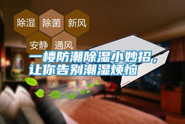 一樓防潮除濕小妙招，讓你告別潮濕煩惱