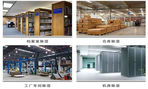 為什么竹筍烘干房需要除濕機(jī)？