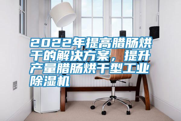 2022年提高臘腸烘干的解決方案，提升產(chǎn)量臘腸烘干型工業(yè)除濕機(jī)