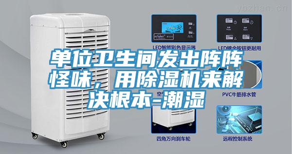 單位衛(wèi)生間發(fā)出陣陣怪味，用除濕機(jī)來(lái)解決根本-潮濕