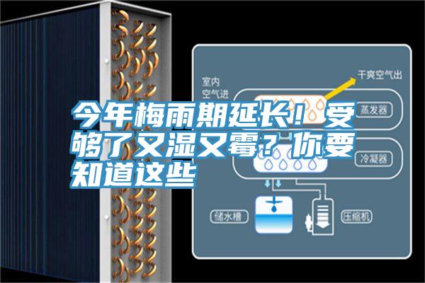 今年梅雨期延長！受夠了又濕又霉？你要知道這些