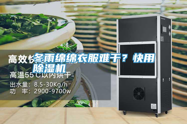 冬雨綿綿衣服難干？快用除濕機