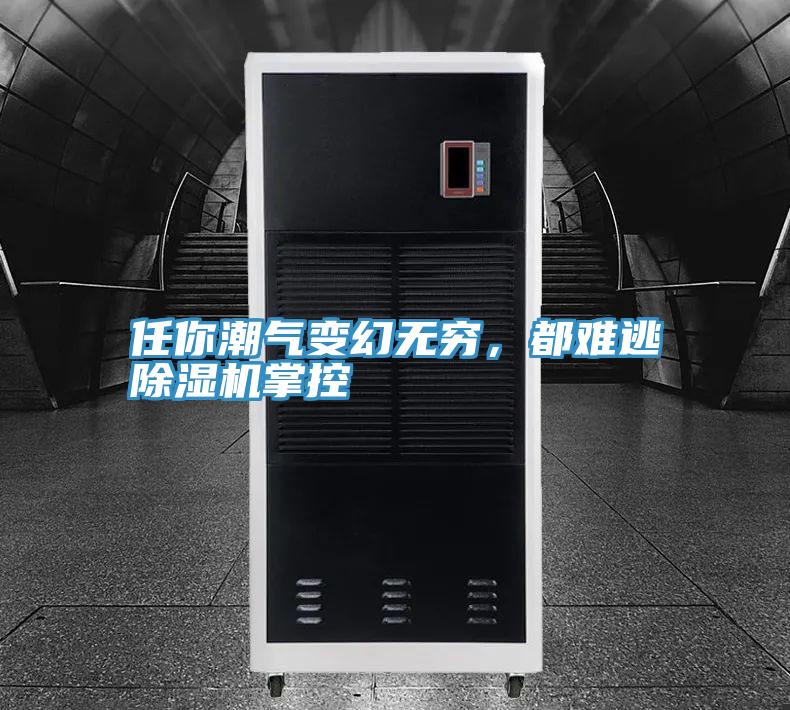 任你潮氣變幻無窮，都難逃除濕機(jī)掌控