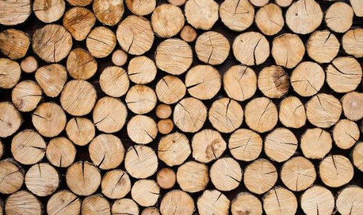 木材烘干除濕機(jī)哪個牌子好，怎么選擇