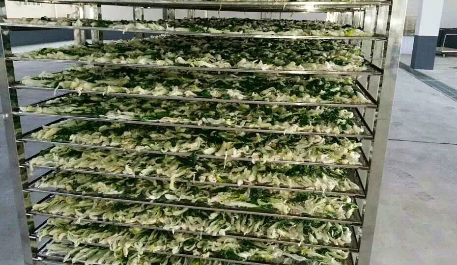 菜干需求一直都很大，蔬菜烘干機(jī)很有市場(chǎng)