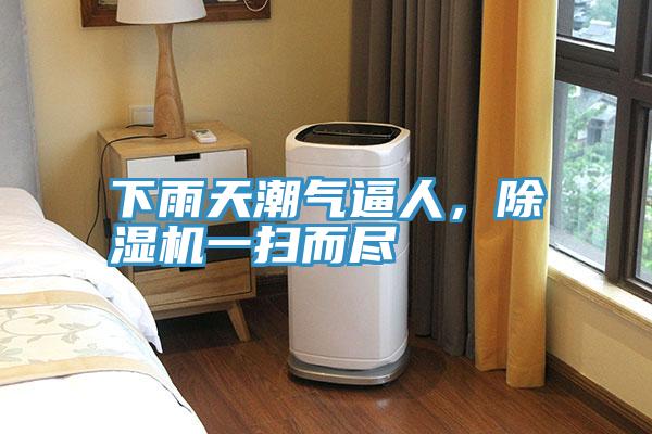 下雨天潮氣逼人，除濕機(jī)一掃而盡