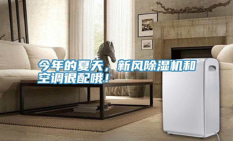 今年的夏天，新風(fēng)除濕機(jī)和空調(diào)很配哦！