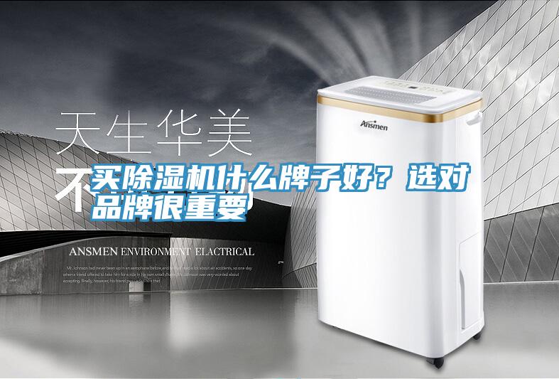 買除濕機(jī)什么牌子好？選對(duì)品牌很重要