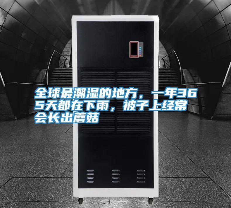 全球最潮濕的地方，一年365天都在下雨，被子上經(jīng)常會(huì)長出蘑菇