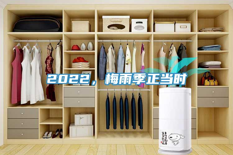 2022，梅雨季正當(dāng)時
