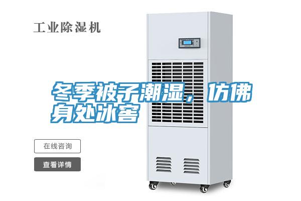 冬季被子潮濕，仿佛身處冰窖