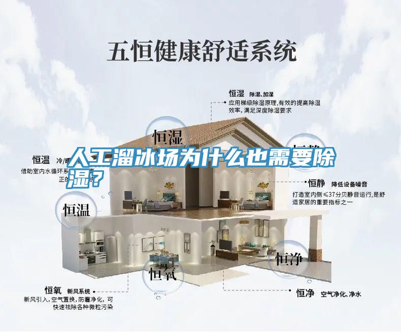 人工溜冰場為什么也需要除濕？