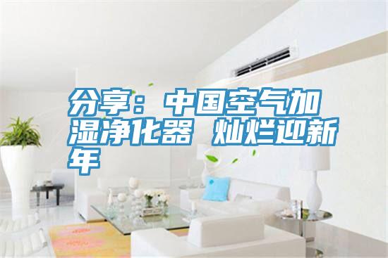 分享:中國空氣加濕凈化器 燦爛迎新年