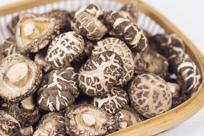 干貨倉庫怎么利用除濕機(jī)保持干爽？