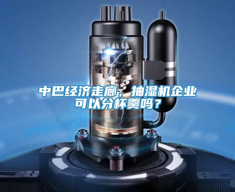 中巴經(jīng)濟(jì)走廊，抽濕機(jī)企業(yè)可以分杯羹嗎？