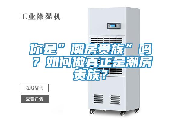 你是”潮房貴族”嗎？如何做真正是潮房貴族？