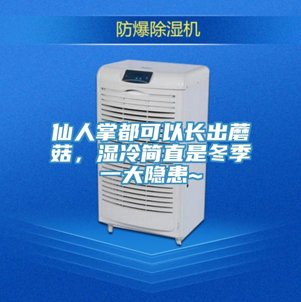 仙人掌都可以長出蘑菇，濕冷簡直是冬季一大隱患~