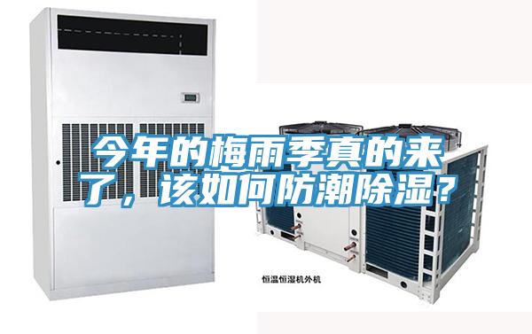 今年的梅雨季真的來(lái)了，該如何防潮除濕？