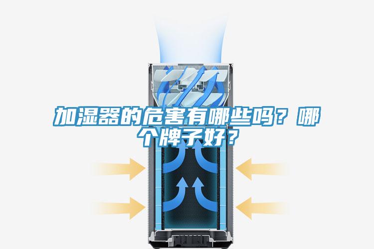 加濕器的危害有哪些嗎？哪個(gè)牌子好？