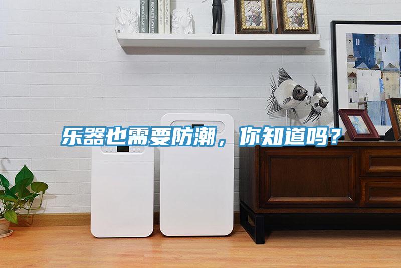 樂器也需要防潮，你知道嗎？