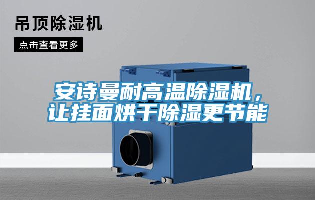安詩曼耐高溫除濕機(jī)，讓掛面烘干除濕更節(jié)能