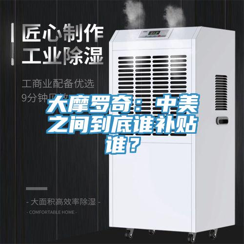 大摩羅奇：中美之間到底誰補(bǔ)貼誰？