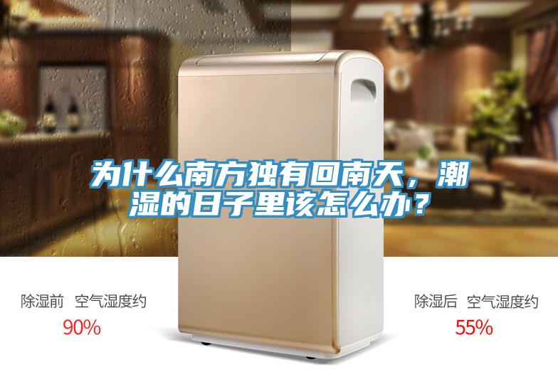 為什么南方獨(dú)有回南天，潮濕的日子里該怎么辦？