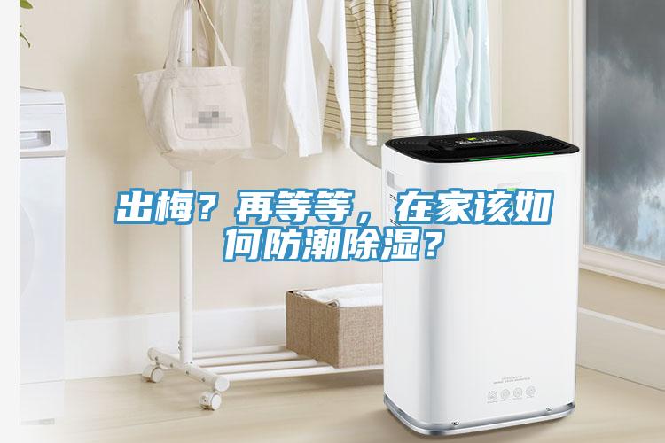 出梅？再等等，在家該如何防潮除濕？