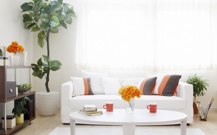 及早備好除濕機，不懼潮濕天來襲