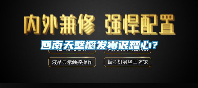 回南天壁櫥發(fā)霉很糟心？