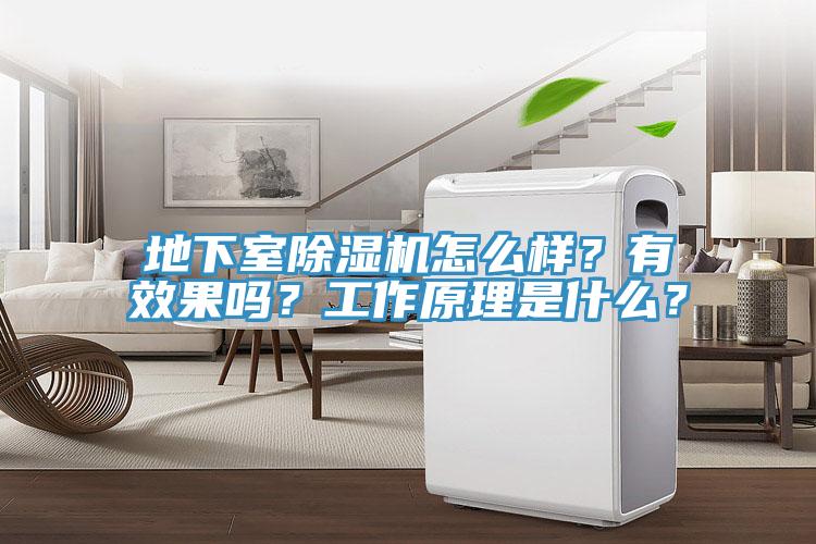 地下室除濕機(jī)怎么樣？有效果嗎？工作原理是什么？