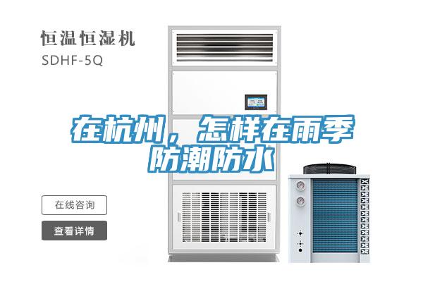 在杭州，怎樣在雨季防潮防水