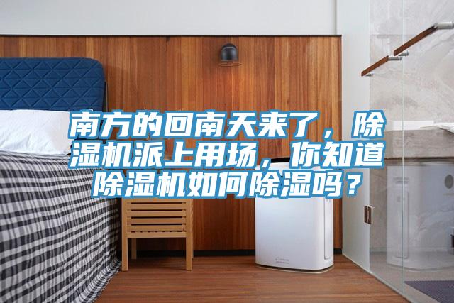 南方的回南天來了，除濕機(jī)派上用場(chǎng)，你知道除濕機(jī)如何除濕嗎？