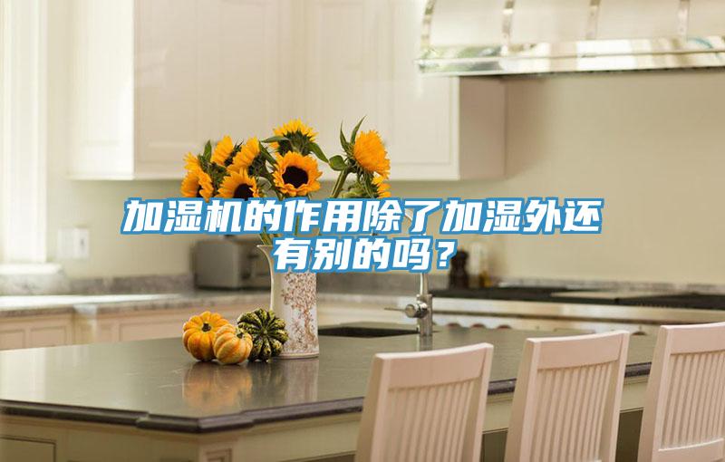 加濕機(jī)的作用除了加濕外還有別的嗎？