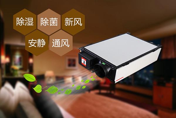 雙十一剛過，雙十二如約而至，濕冷還受得了嗎？