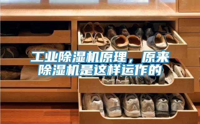 工業(yè)除濕機(jī)原理，原來(lái)除濕機(jī)是這樣運(yùn)作的