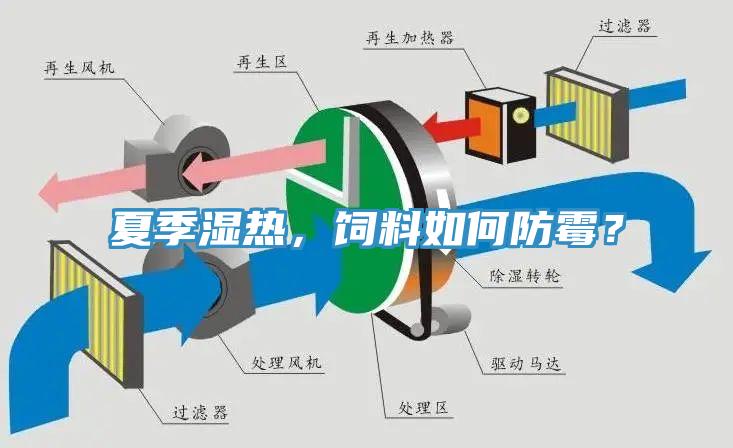 夏季濕熱，飼料如何防霉？