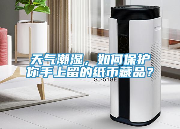 天氣潮濕，如何保護(hù)你手上留的紙幣藏品？
