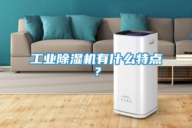 工業(yè)除濕機(jī)有什么特點？