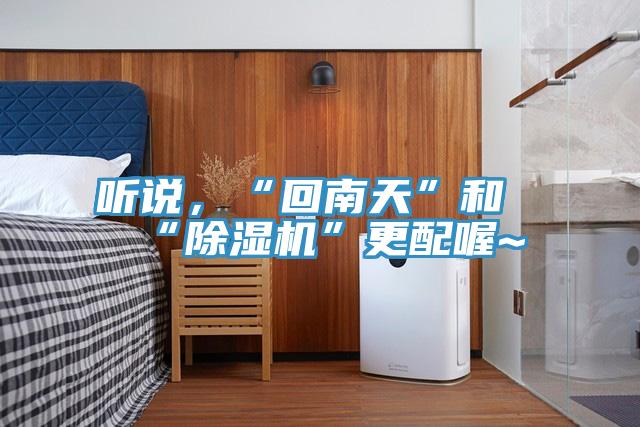 聽說，“回南天”和“除濕機”更配喔~