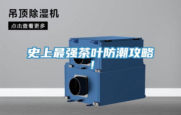 史上最強茶葉防潮攻略！