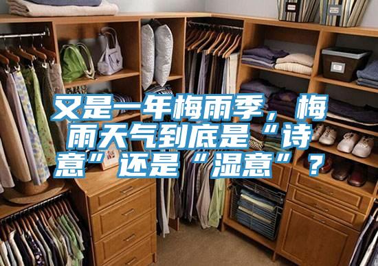 又是一年梅雨季，梅雨天氣到底是“詩(shī)意”還是“濕意”？