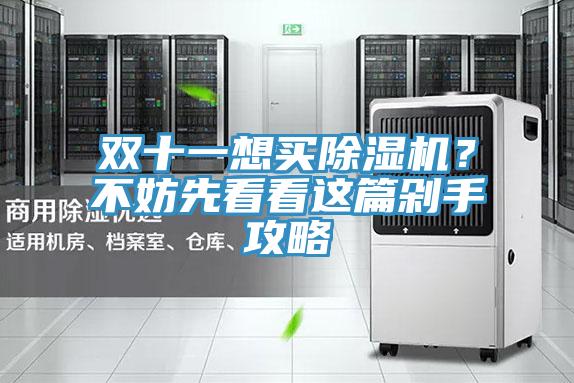 雙十一想買除濕機(jī)？不妨先看看這篇剁手攻略
