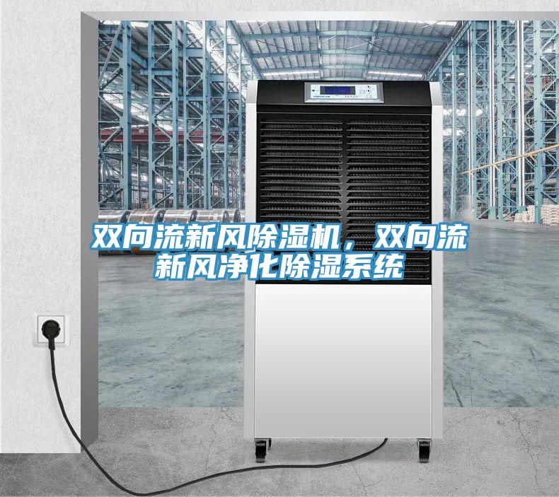 雙向流新風除濕機，雙向流新風凈化除濕系統(tǒng)