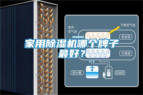 家用除濕機哪個牌子最好？