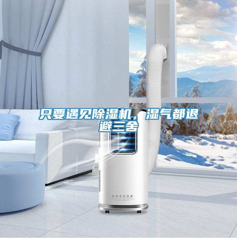 只要遇見除濕機，濕氣都退避三舍