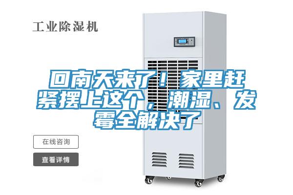回南天來(lái)了！家里趕緊擺上這個(gè)，潮濕、發(fā)霉全解決了