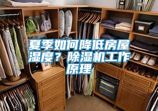 夏季如何降低房屋濕度？除濕機(jī)工作原理